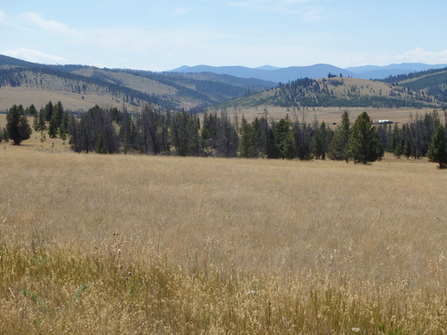 GDMBR: Grassland/Rangeland.